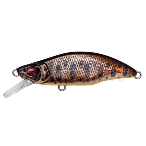 Воблер MEGABASS GH Humpback 51FS цв. AL Sabi Yamame фото 1