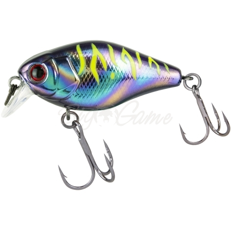 Воблер JACKALL Chubby 41 Silent цв. uv ul tamamushi tiger фото 2