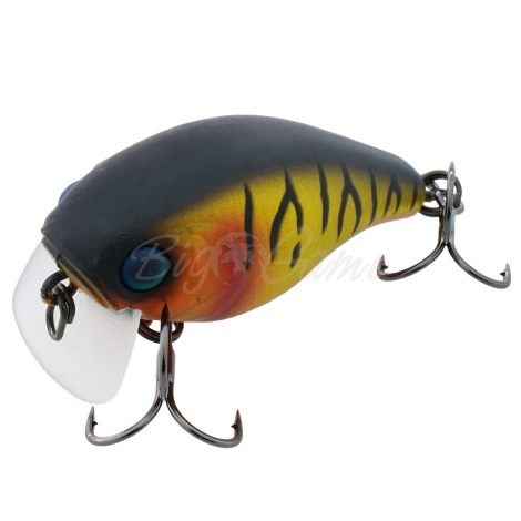 Воблер JACKALL Chubby 38F SSR цв. mat gold tiger фото 1