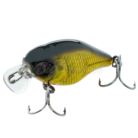 Воблер JACKALL Chubby 38F цв. hl gold & black фото 1