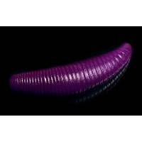 Личинка JARA BAITS Bruchi 40 запах Икра + Феромоны (12 шт.) код цв. #13