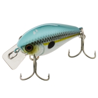 ss shad