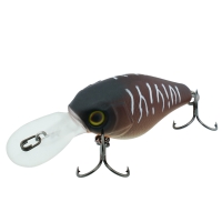 bug tiger