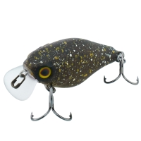 brown bug