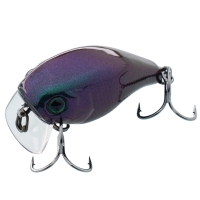ul bug