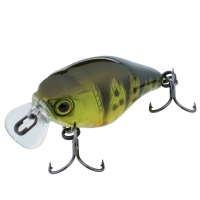 ghost g perch