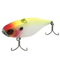 ruddy shad