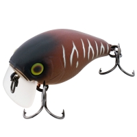 bug tiger