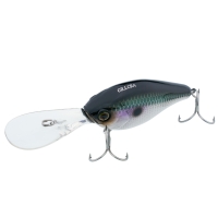 sk silver shiner
