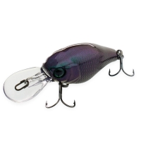ul bug