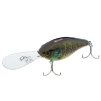 rt blue gill