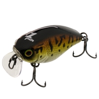 bass coach