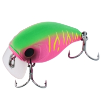 dragon fruit mat tiger