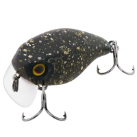 brown bug