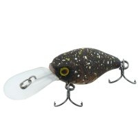brown bug