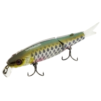 roach