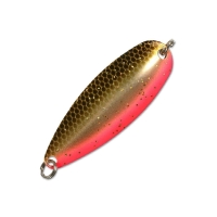 H02