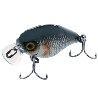 hl silver & black