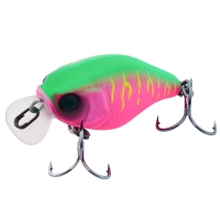 dragon fruit mat tiger