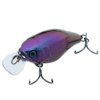 ul bug