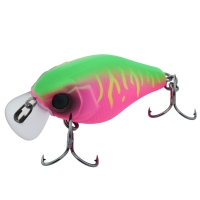 dragon fruit mat tiger
