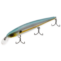 ss shad