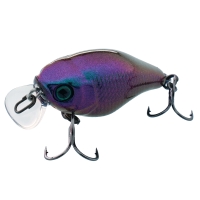 ul bug