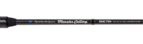 Спиннинг BREADEN SWG Monster Calling 79H тест 10 - 30 г превью 3