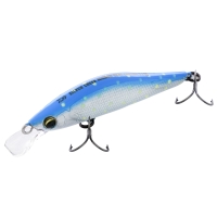 Blue Back Iwana