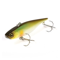 pearl ayu