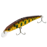 hl copper yamame