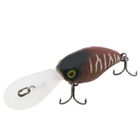 bug tiger