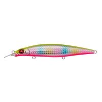 Shell Skin Chart Back Rainbow