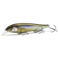 DD Silver Shad