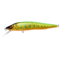 LZ Lime Back Gold Ob