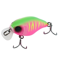 dragon fruit mat tiger