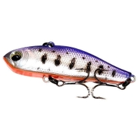 Purple Yamame Orange Belly