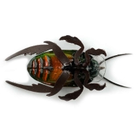 Воблер CHAFER37 Жук-плавунец превью 3