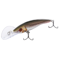 ROHL