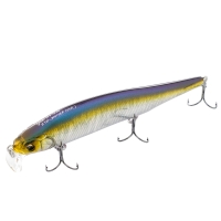 SSR Gg Tennessee Shad