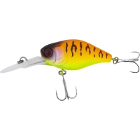 tropical mat tiger