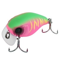 dragon fruit mat tiger