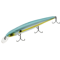ss shad