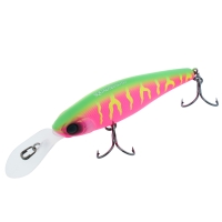 dragon fruit mat tiger