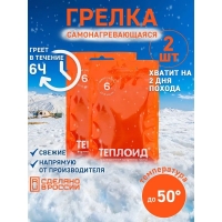Грелка химическая НПКСОТА Теплоид 6 часов
