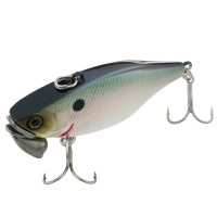 sk pearl shad