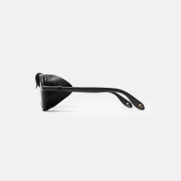 Очки поляризационные WHITELAB WLTour Tour цв. Black цв. ст. Silver / Black превью 2