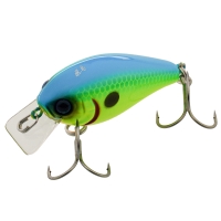 blue back chartreuse