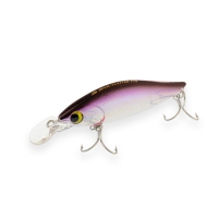 642 AK Purple Shad