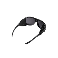 Очки поляризационные WHITELAB WLEM3 Evermont цв. Black цв. ст. Black S3 превью 2
